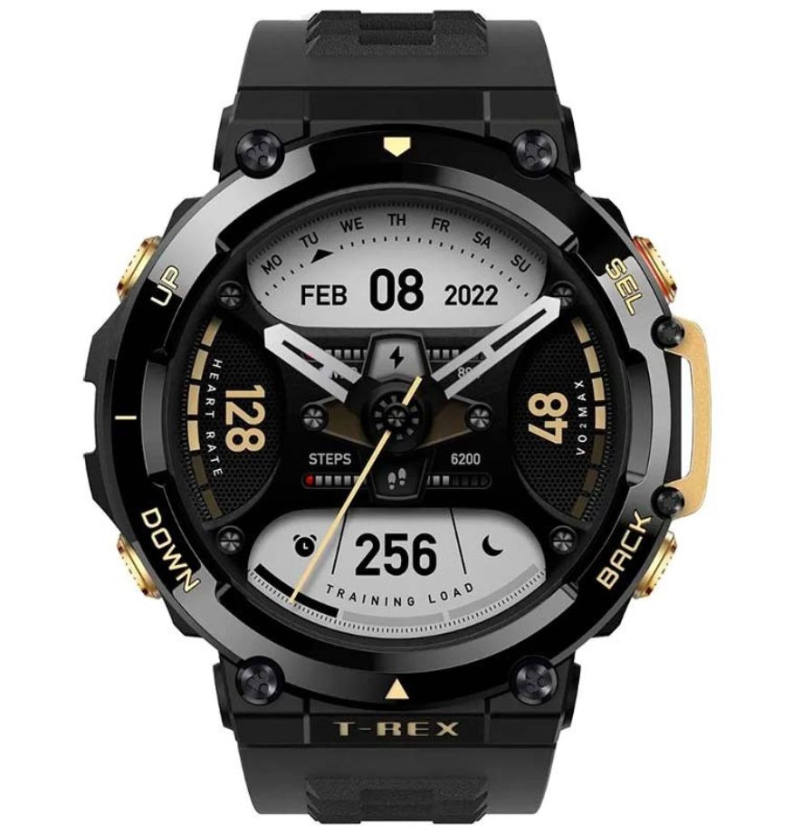AMAZFIT T-REX 2 Smartwatch - Black/Gold