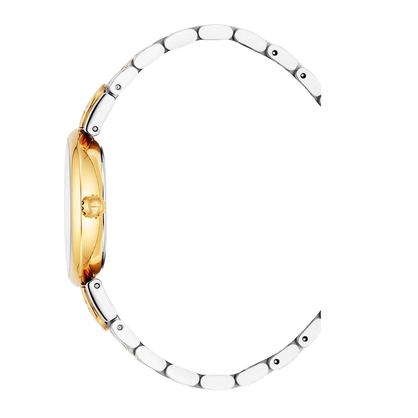 AIGNER Dolce AGW.265002