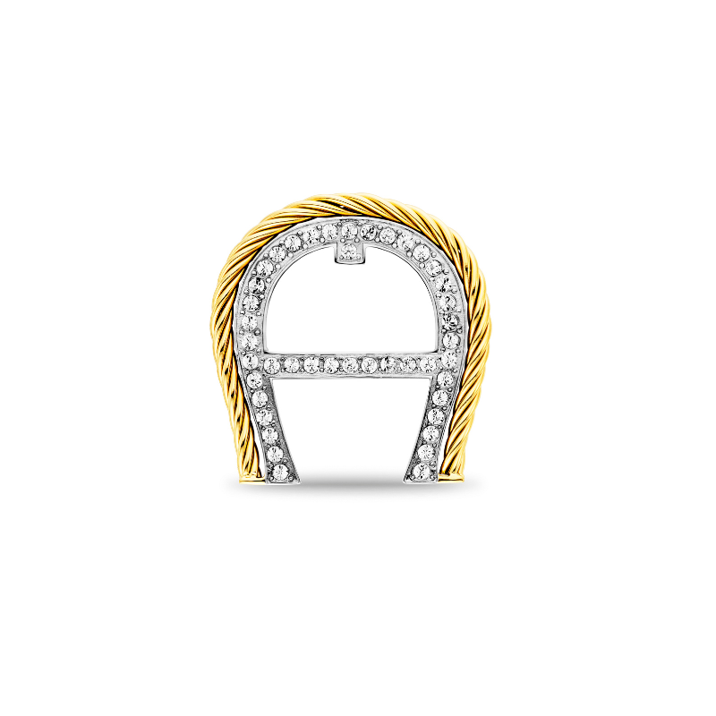 AIGNER SILVER / GOLD BROOCHES LADIES AGJ.251025.SGBH