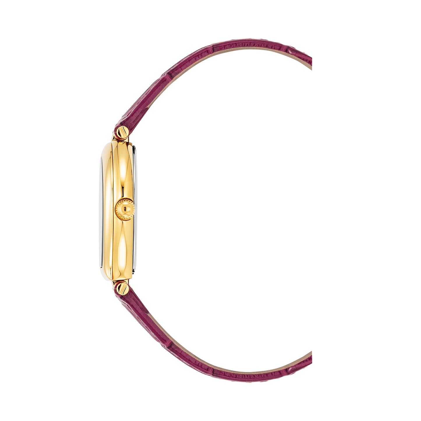 AIGNER Trani AGW.238007