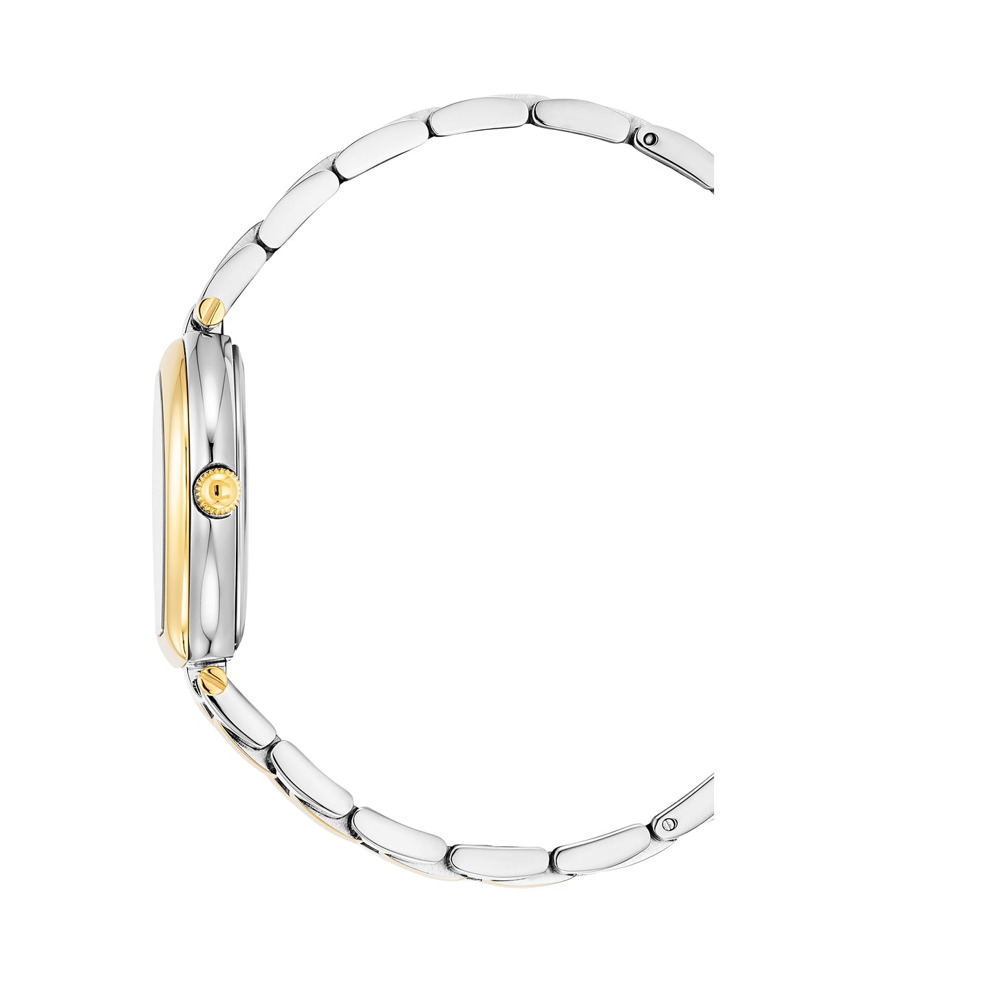 AIGNER Trani AGW.238010