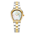 AIGNER Trani AGW.238010