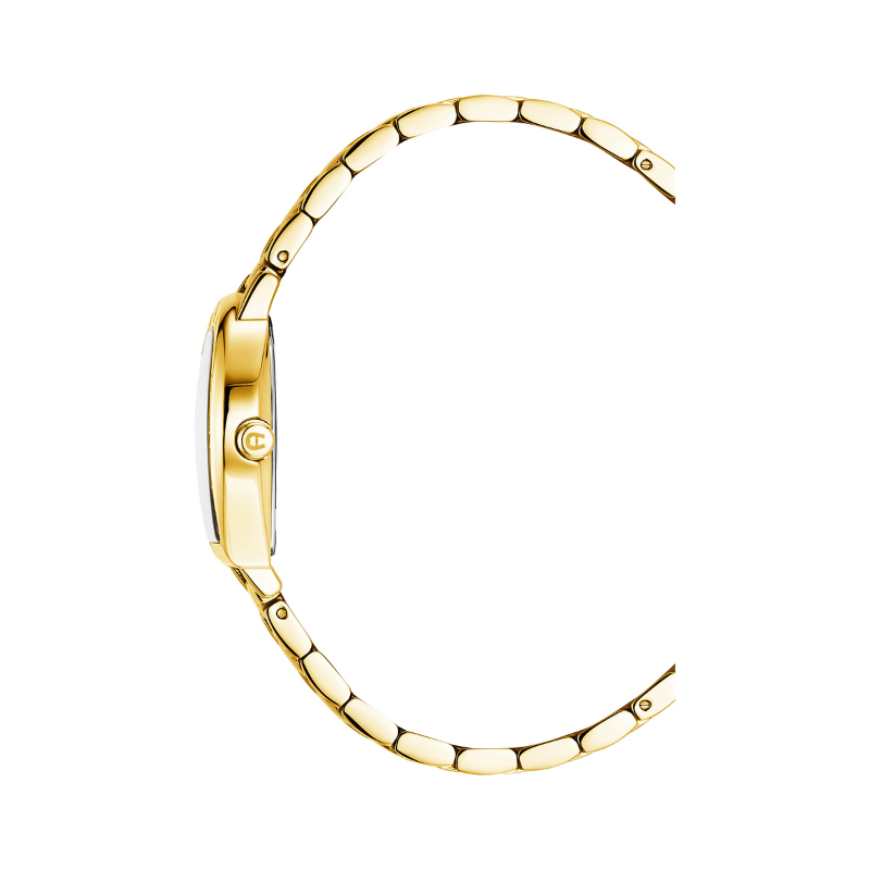 AIGNER Daiana AGW.268005