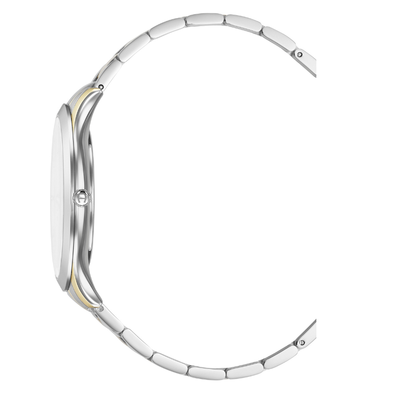 AIGNER Treviso Tre AGW.295003