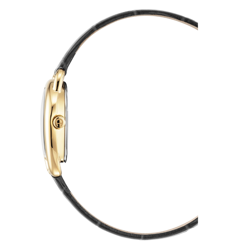 AIGNER Hermada Tre AGW.296001.C