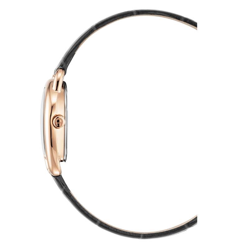 AIGNER Hermada Tre AGW.296004.C