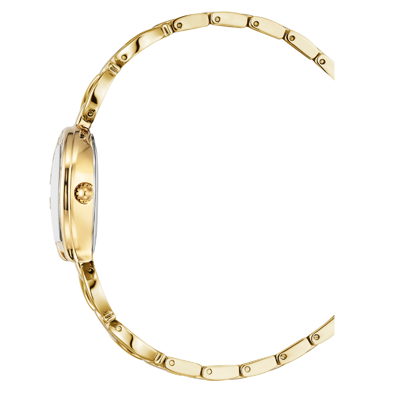 AIGNER Enneta AGW.297003.C