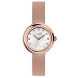 CONDOTTI LADIES MARGHERITA CNL10015-RG01-M13