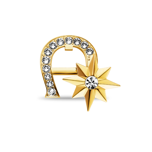 AIGNER CELESTINA GOLD BROOCHES LADIES AGJ.241089