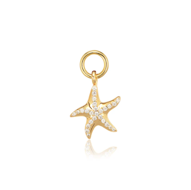 SIF JAKOBS Charm Stella Marina SJ-CH2384-CZ-YG (ONLY CHARM)