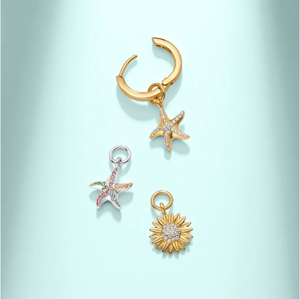 SIF JAKOBS Charm Stella Marina SJ-CH2384-CZ-YG (ONLY CHARM)