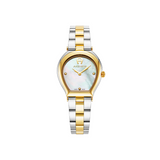 AIGNER Trani AGW.238010