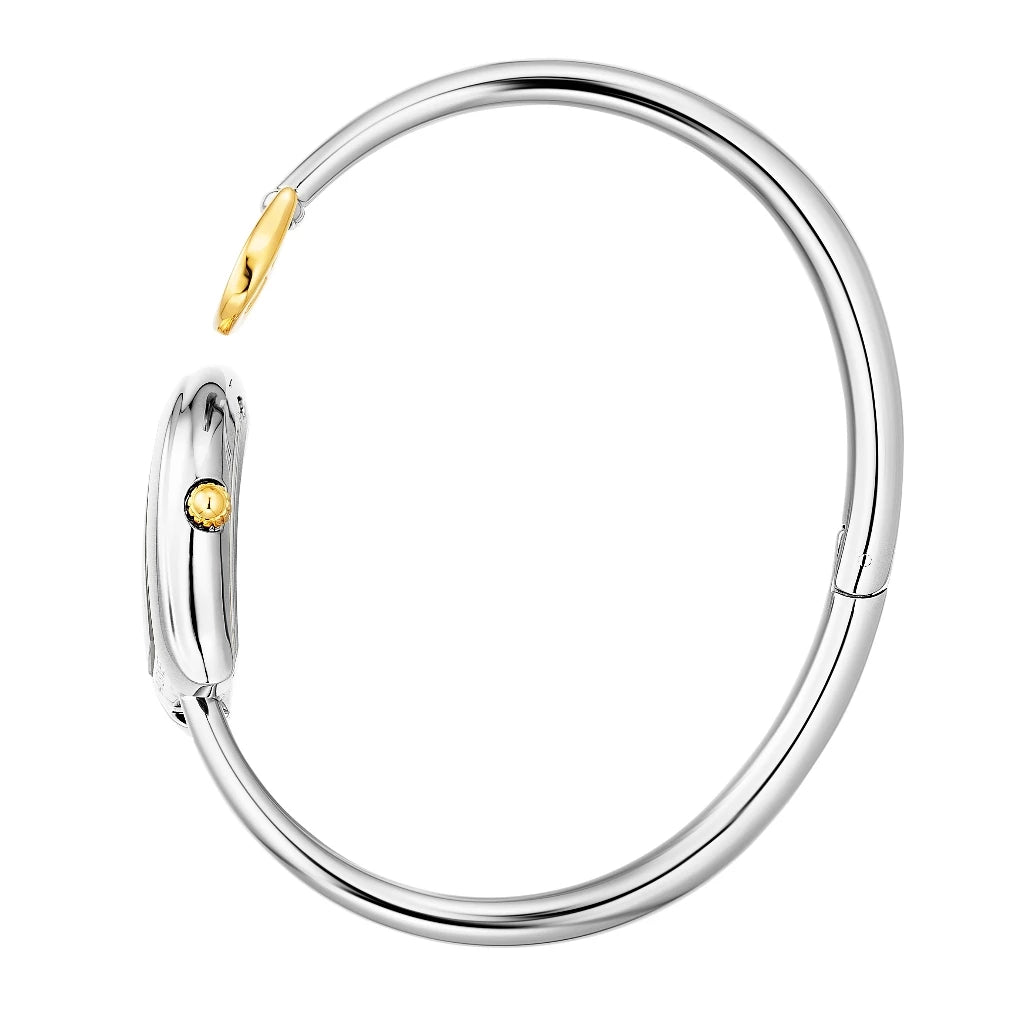 AIGNER Flora AGW.271002.S