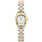 AIGNER Molfetta AGW.253002