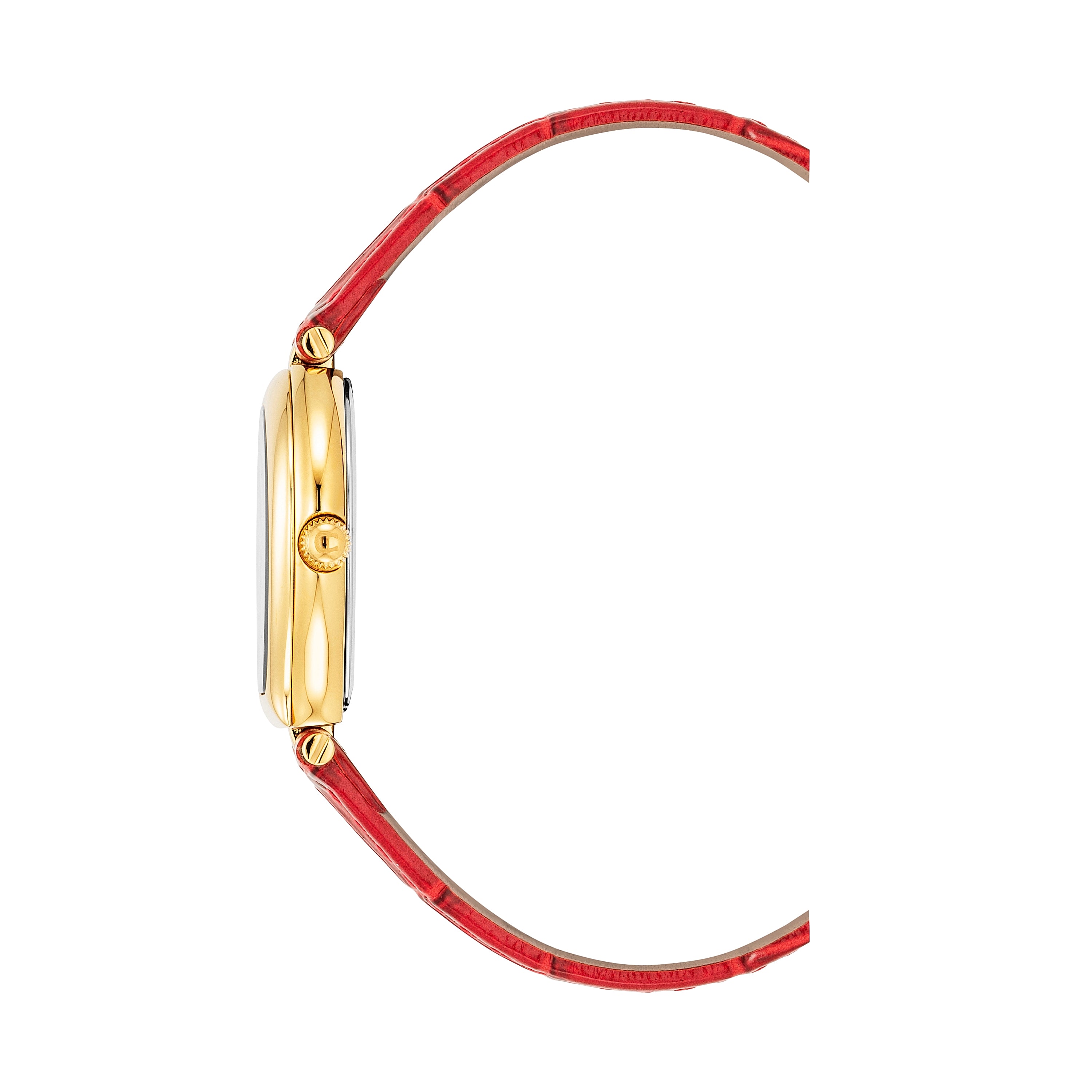 AIGNER Trani AGW.238003 – Watch Studio Indonesia