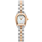 AIGNER Molfetta AGW.253003